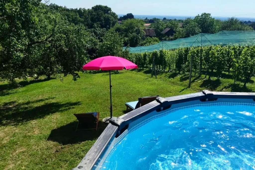 Kuca Za Odmor Villa Cesarica - Zagreb Graberje Ivanićko Exteriör bild