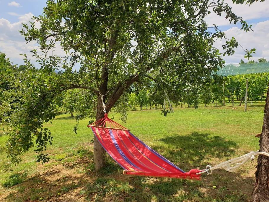 Kuca Za Odmor Villa Cesarica - Zagreb Graberje Ivanićko Exteriör bild